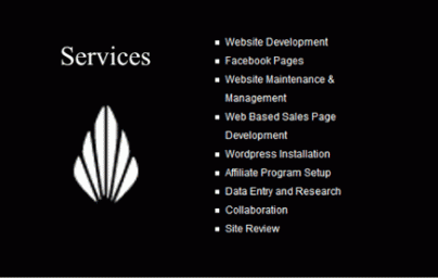 Website Design, Virtual Assistance